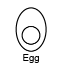 An egg icon representing allergen information.