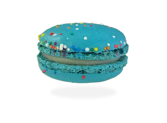 A delightful Birthday Cake Macaron by Pierre and Michel's Bakery, adorned with macarons and colorful fruit