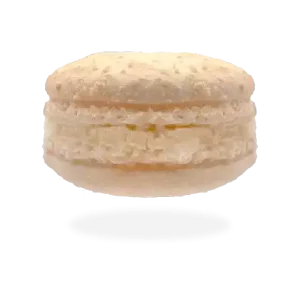 French coconut macaron with a toasted coconut topping and a creamy coconut filling by Pierre and Michel your authentic French bakery.
