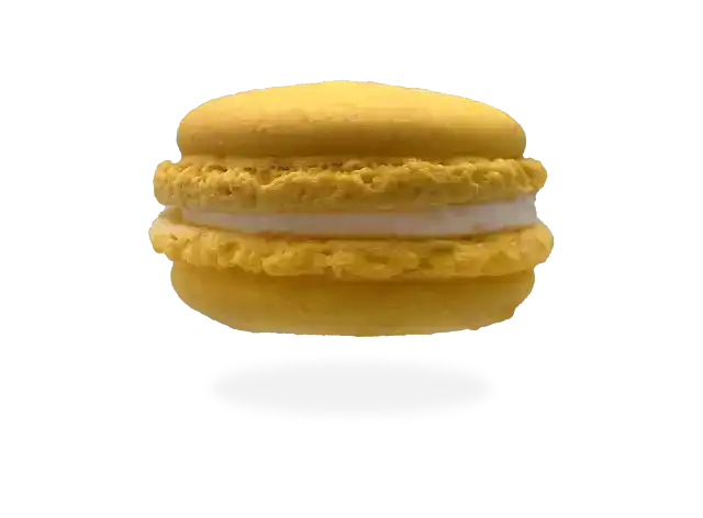 French lemon macaron with a citrus-infused filling, presented on a white porcelain plate with delicate floral patterns by Pierre and Michel your authentic French bakery.