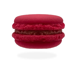 French raspberry macaron with a luscious raspberry filling, adorned with a fresh raspberry on top. by Pierre and Michel your authentic French bakery.