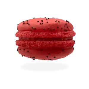 Image of French strawberry macarons by Pierre and Michel your authentic French bakery.
